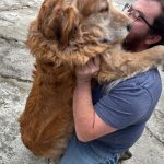 CDMX reconoce a los animales comunitarios y a sus cuidadores en una reforma legal histórica