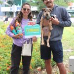 Cloralex Mascotas apoya a la adopción de mascotas con una valiosa donación a PRODAN