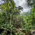 El Jardín Escultórico Edward James se une al lanzamiento de World Wide Wood