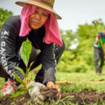 Conservación Internacional Impulsa En México Emprendimientos Sostenibles de Comunidades Rurales 