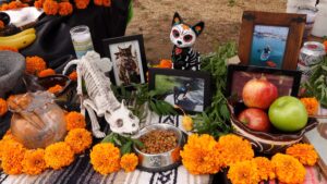 Guanajuato Capital presenta en la Ciudad de México su Festival del Día de Muertos 2026