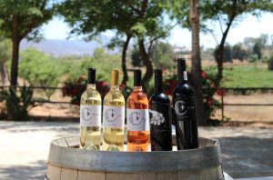 Celebra Querétaro el Sexto Festival del Vino