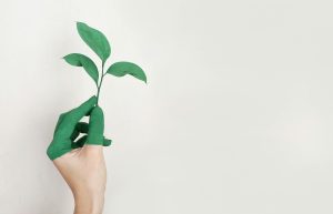México por el Clima lanza Grupos de Trabajo 2026 y convoca a la acción colectiva desde todo el país