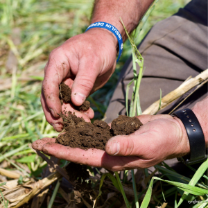 Kilimo: Restaurando el agua a través de la innovación agrícola para las tierras de cultivo mexicanas, una transformación en la cuenca del Moctezuma