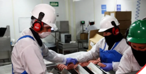 Sumó 1.2 millones la población económicamente activa en Querétaro