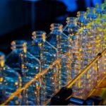 La clave para lograr envases ecológicos 