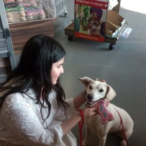 Mascotas, disfraces y tradición: octubre también se vive a cuatro patas