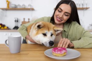 Las mascotas transforman el diseño de viviendas, oficinas y comercios