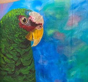 Alan Wittels presenta «Guacamayas», un homenaje musical a la identidad