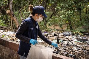 Del compromiso a la acción: ECOCE impulsa jornadas ambientales en 13 estados del país