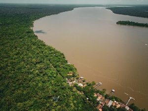 Natura reafirma su compromiso con un futuro regenerativo en el Día Mundial del Medio Ambiente 2026