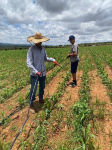 Estudian causas del despoblamiento rural en México