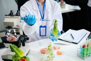 Conoce la ciencia que va más allá de solo preparar alimentos