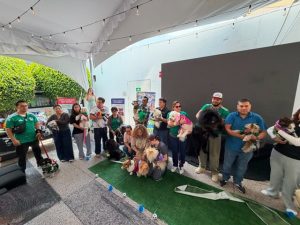 “PELUDOS MUNDIALISTAS”: La Fiesta de 4 Patas en Cielo Abierto Coyoacán