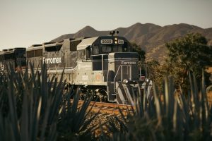 Celebra el Día Internacional del Tequila a bordo del Tequila Express