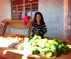 Día Internacional de Concienciación sobre la Pérdida y el Desperdicio  de Alimentos: La Red BAMX llama a cerrar la brecha entre lo que México tira y lo que a millones de mesas les falta