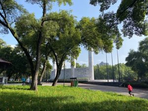 Reforestación urbana, una aliada para respirar mejor en las ciudades